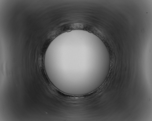 X0000084520323200703021402