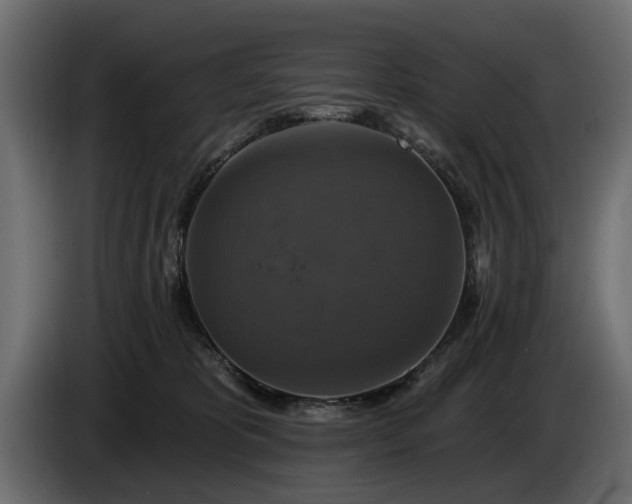 X0000084520325200703021402