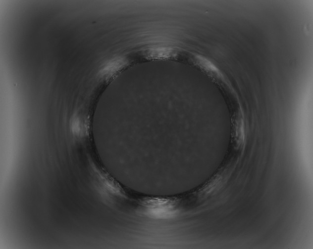 X0000084520326200703021402