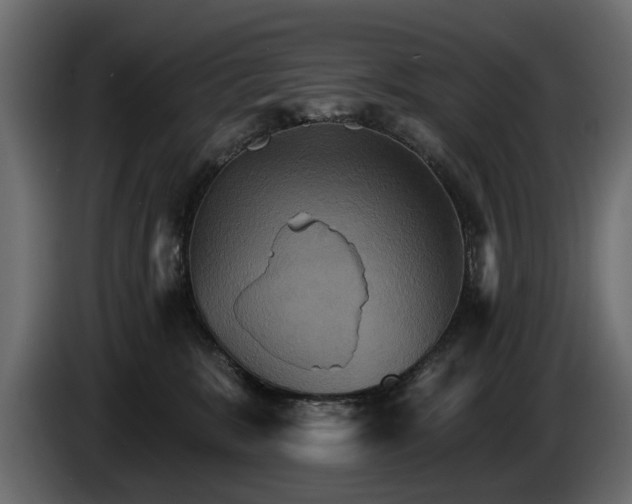 X0000084520327200703021402