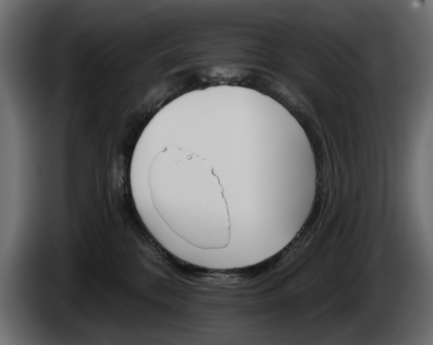 X0000084520328200703021402