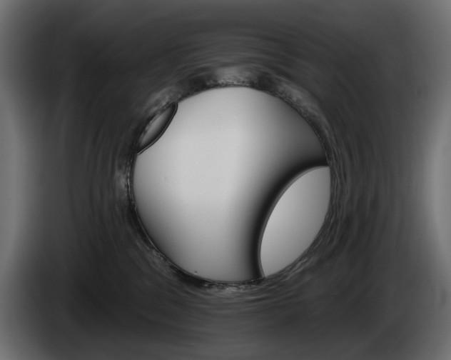 X0000084520329200703021402