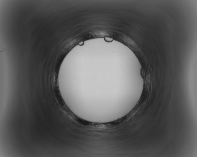 X0000084520330200703021402