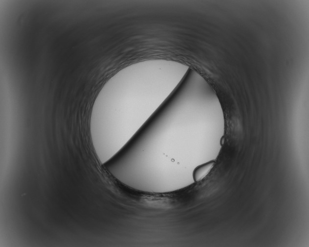 X0000084520331200703021402