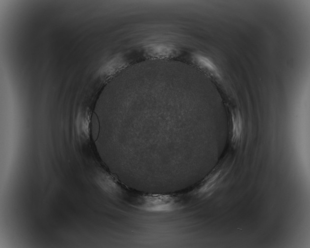 X0000084520334200703021402