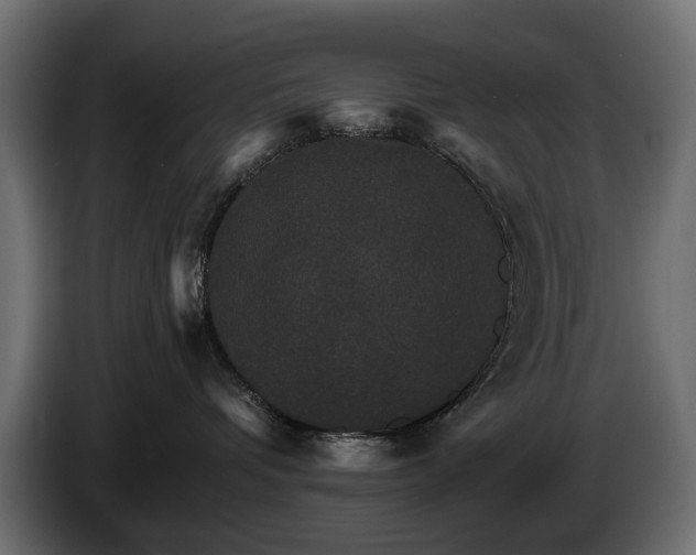 X0000084520336200703021402