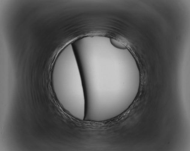 X0000084520337200703021401