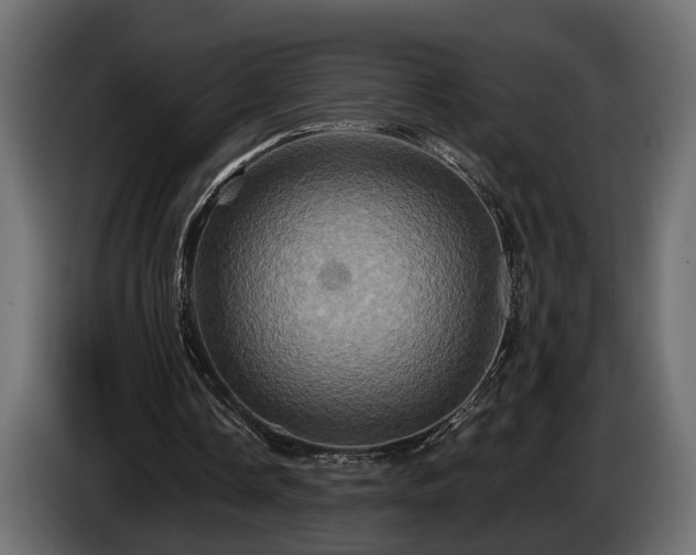 X0000084520338200703021401