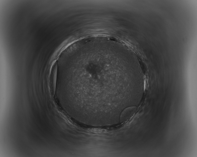 X0000084520339200703021401