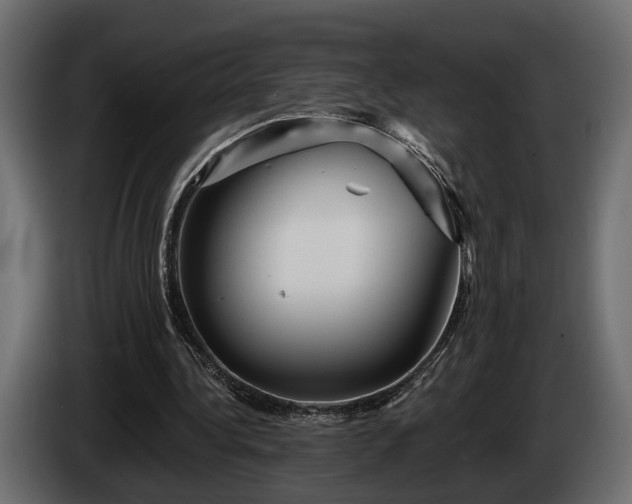 X0000084520340200703021401