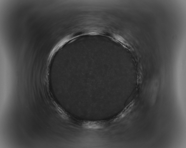 X0000084520341200703021401