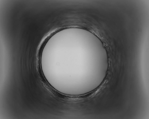 X0000084520342200703021401