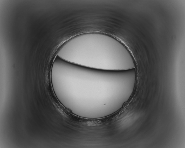 X0000084520345200703021401