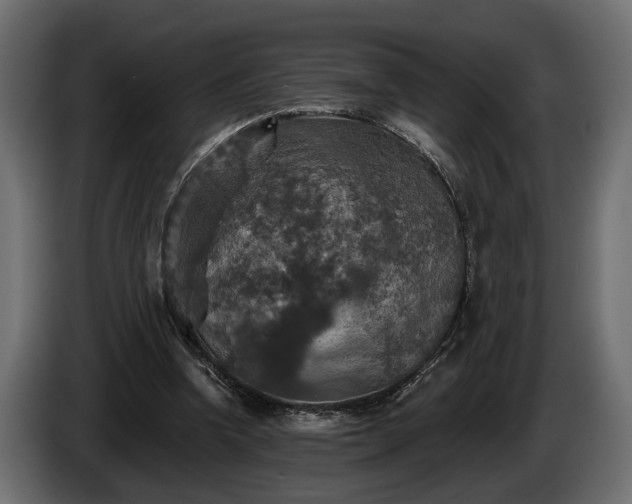 X0000084520346200703021401