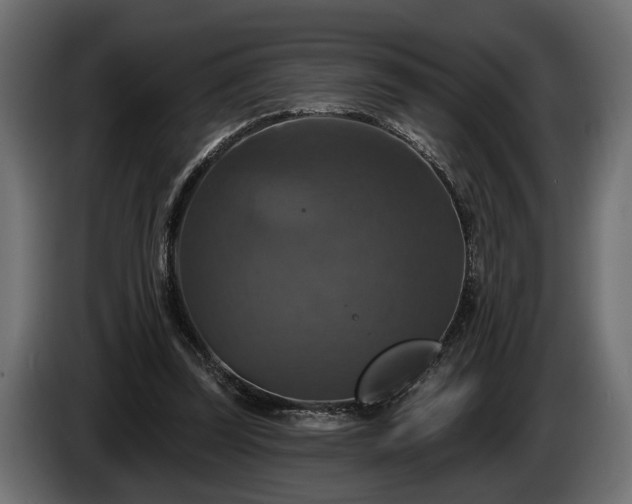 X0000084520347200703021401