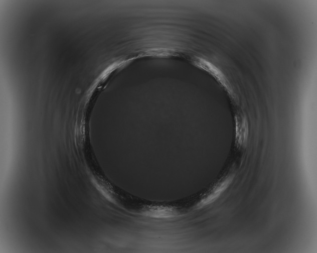 X0000084520348200703021401