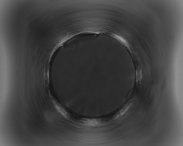 X0000084520349200703021401