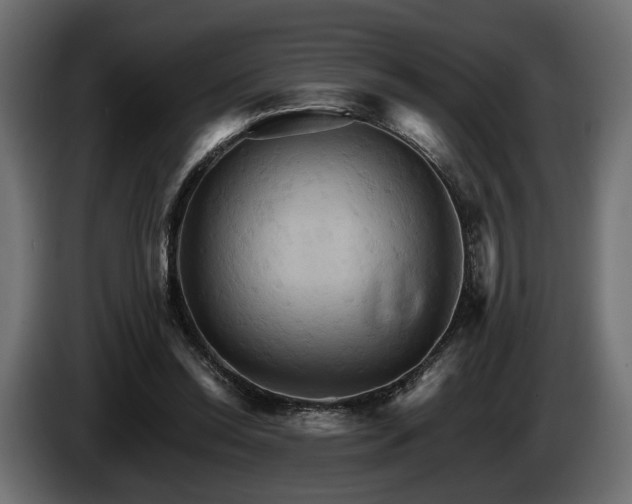 X0000084520350200703021401