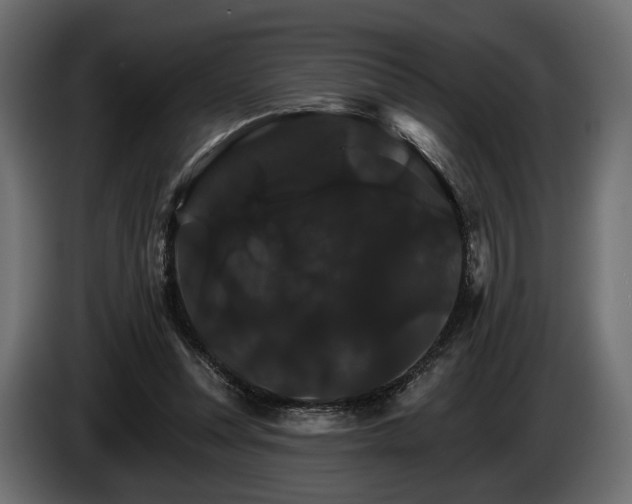 X0000084520351200703021401