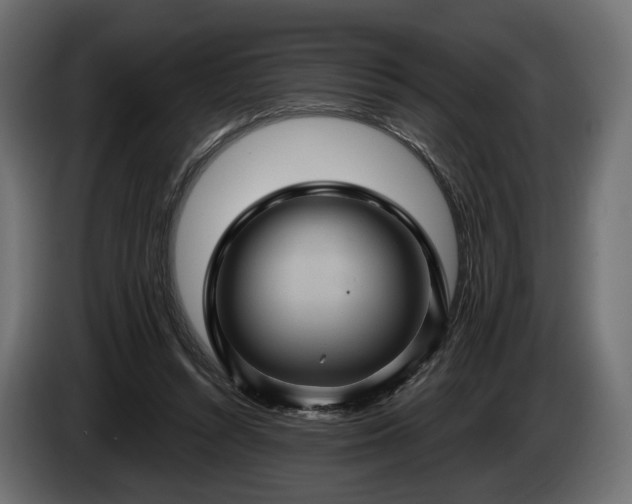 X0000084520352200703021401