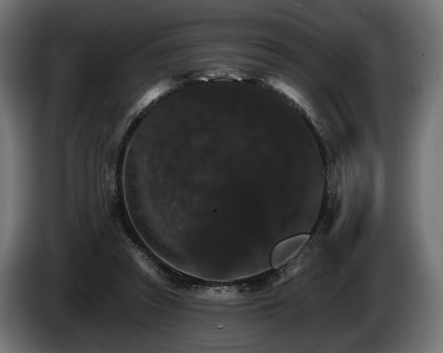 X0000084520353200703021401