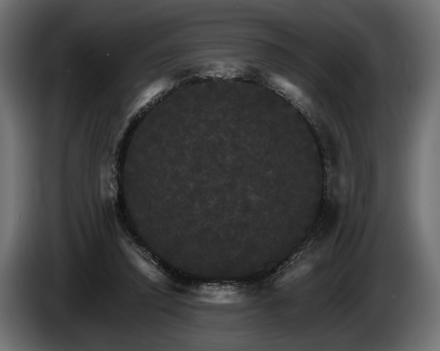 X0000084520354200703021401