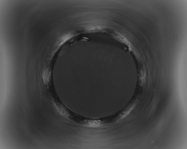 X0000084520355200703021401