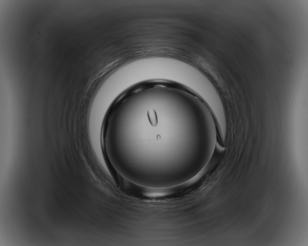 X0000084520356200703021401