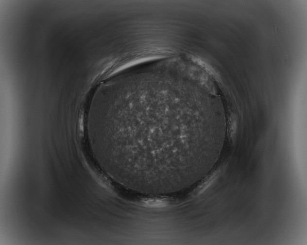 X0000084520358200703021401