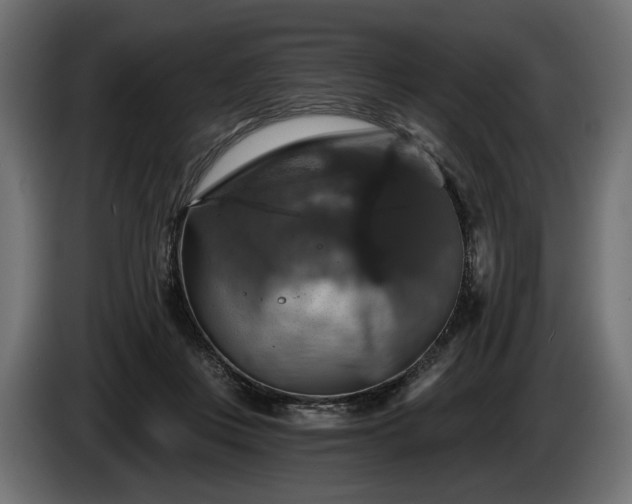 X0000084520359200703021401