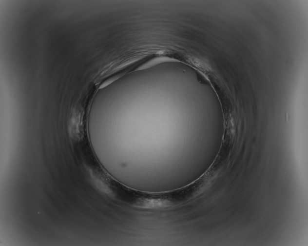 X0000084520360200703021401