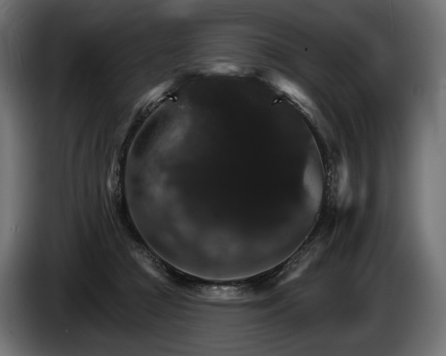 X0000084520361200703021401