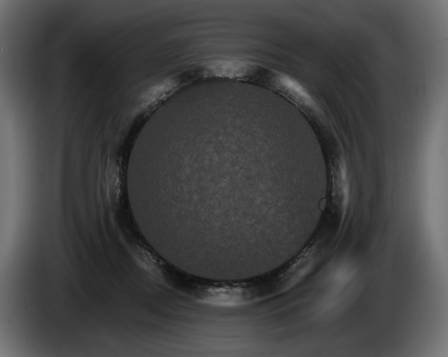 X0000084520362200703021401