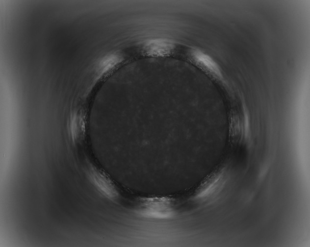 X0000084520363200703021401