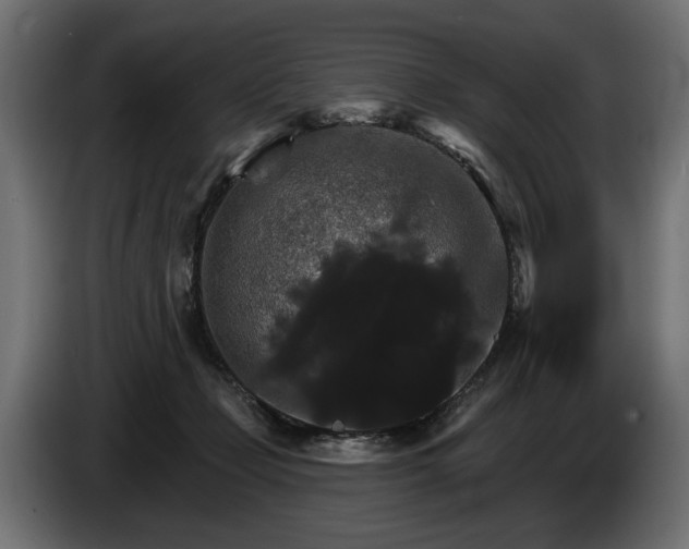 X0000084520365200703021401