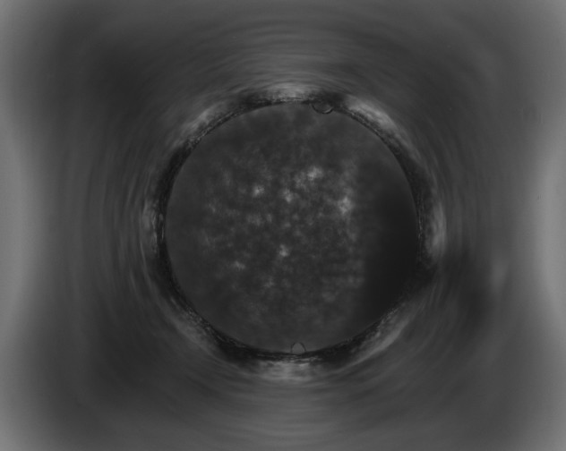 X0000084520366200703021401