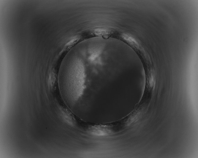 X0000084520367200703021401