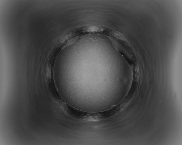 X0000084520368200703021401