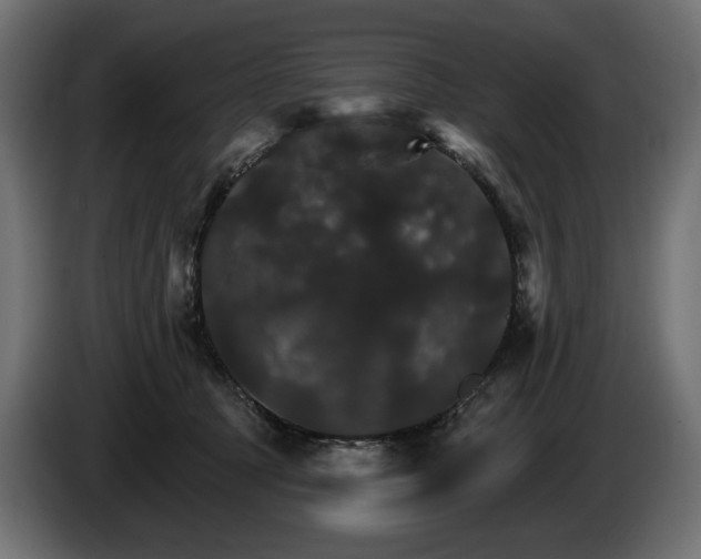 X0000084520369200703021401