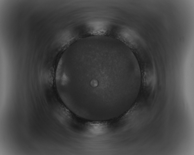 X0000084520370200703021401