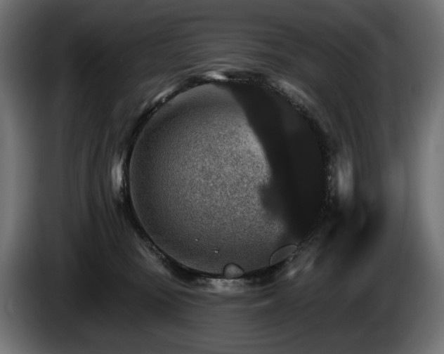 X0000084520371200703021401