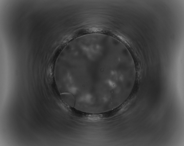 X0000084520373200703021401