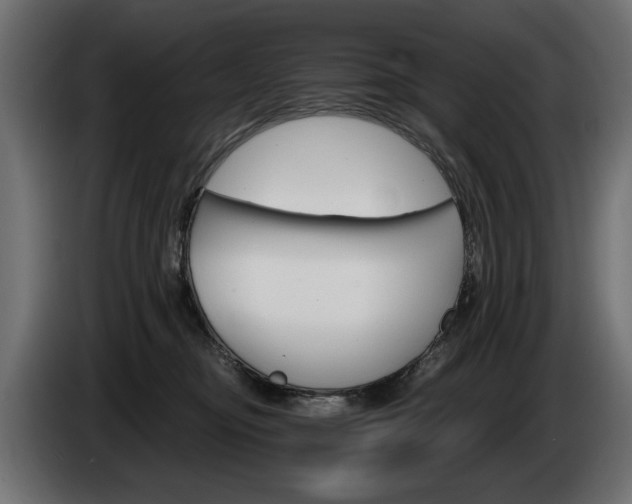 X0000084520374200703021401