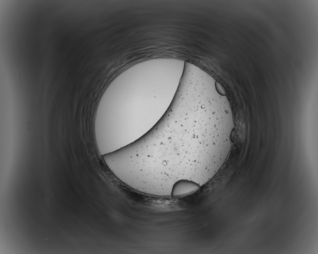 X0000084520375200703021401