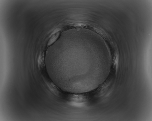 X0000084520376200703021401