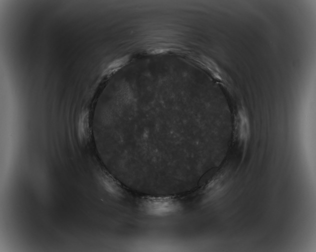 X0000084520377200703021401