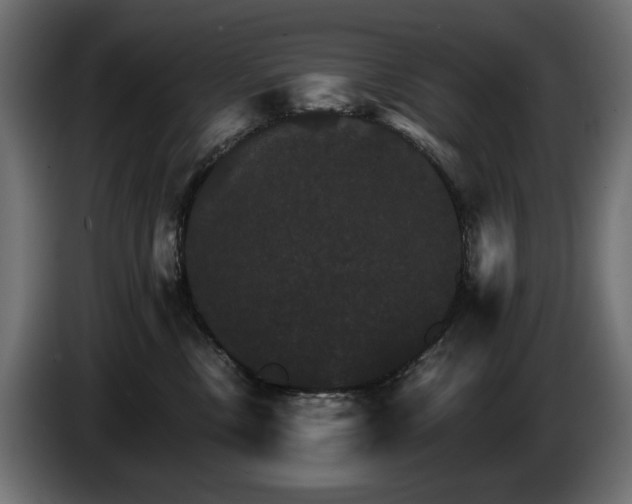 X0000084520378200703021401