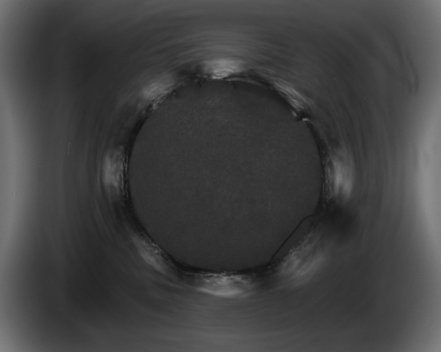 X0000084520379200703021401