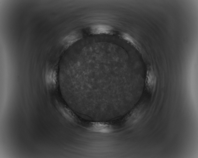 X0000084520380200703021401