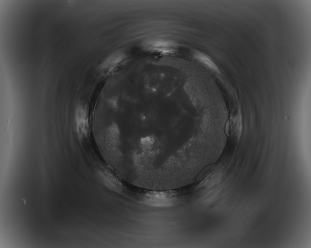 X0000084520381200703021401